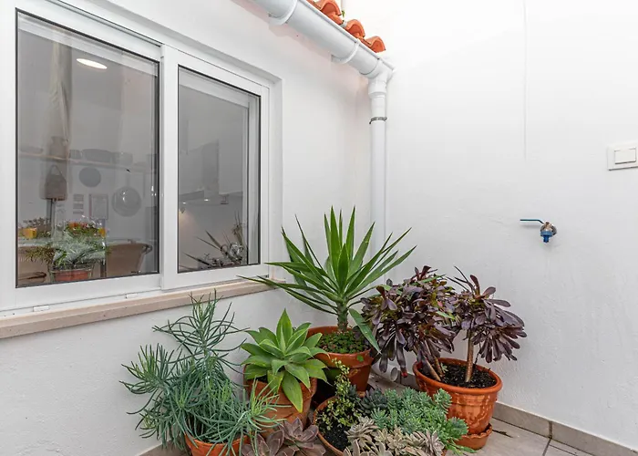 Holiday home Casa Amalia, Town Center