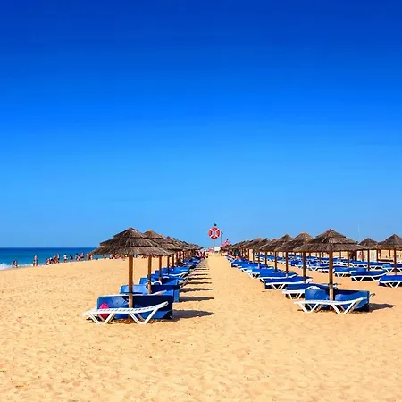 Hébergement de vacances Casa Amalia, Town Center