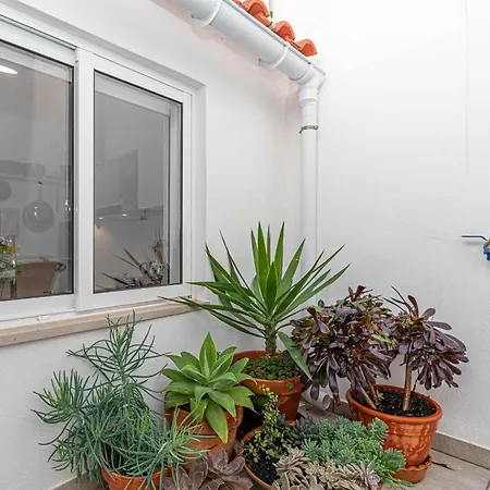 Hébergement de vacances Casa Amalia, Town Center