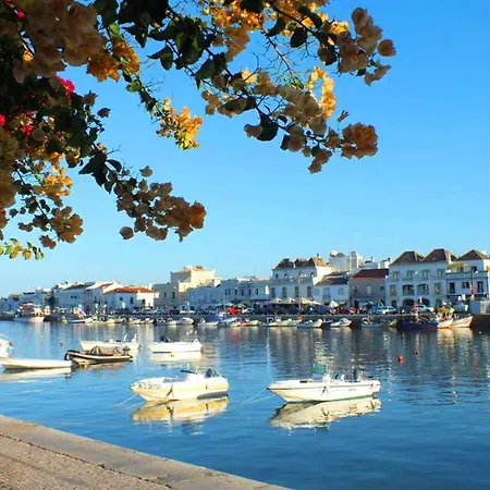 Casa Amalia, Town Center *