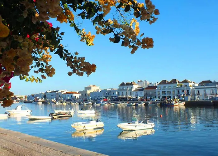 Casa Amalia, Town Center *